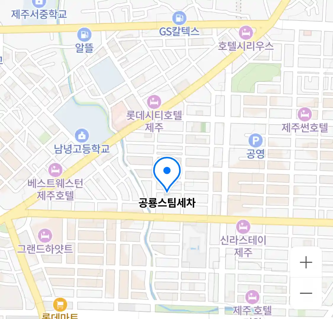 공룡스팀세차