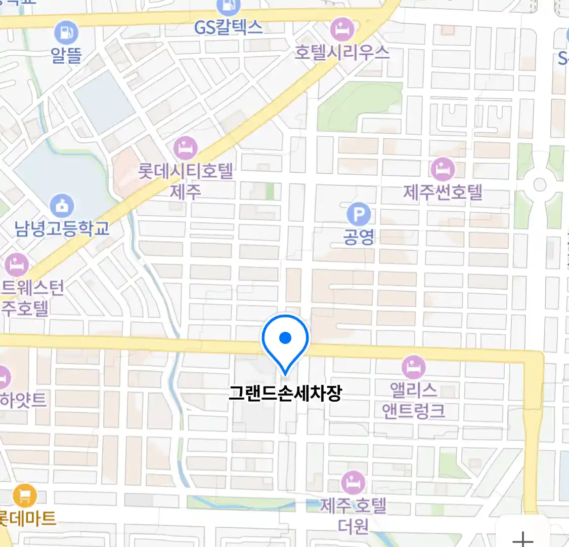 그랜드손세차장
