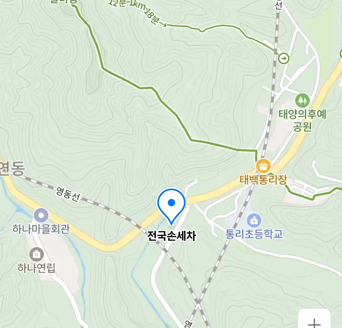 전국손세차