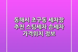 동해시 초구동 세차장 추천 – 스팀세차, 손세차 가격/위치 정보