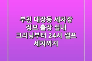 부천 대장동 세차장 정보 – 출장 실내 크리닝부터 24시 셀프 세차까지