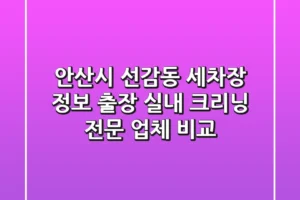 안산시 선감동 세차장 정보: 출장 실내 크리닝 전문 업체 비교