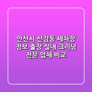 안산시 선감동 세차장 정보: 출장 실내 크리닝 전문 업체 비교