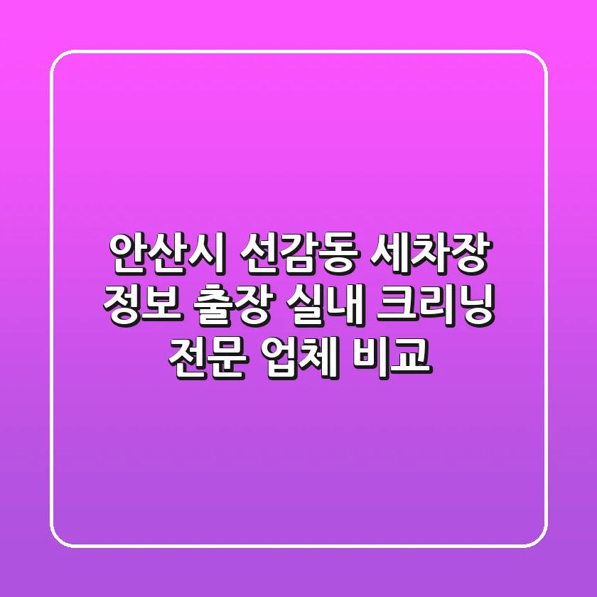 안산시 선감동 세차장 정보: 출장 실내 크리닝 전문 업체 비교