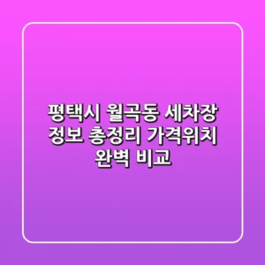 평택시 월곡동 세차장 정보 총정리 - 가격/위치 완벽 비교