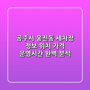 공주시 웅진동 세차장 정보: 위치, 가격, 운영시간 완벽 분석