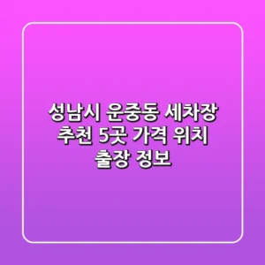 성남시 운중동 세차장 추천 5곳 - 가격, 위치, 출장 정보