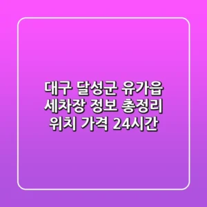 대구 달성군 유가읍 세차장 정보 총정리 - 위치, 가격, 24시간