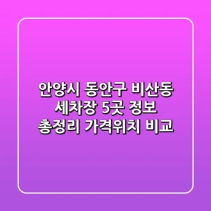 안양시 동안구 비산동 세차장 5곳 정보 총정리 - 가격/위치 비교