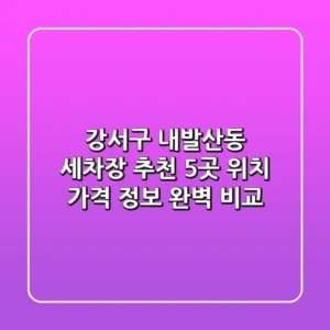 강서구 내발산동 세차장 추천: 5곳 위치, 가격 정보 완벽 비교