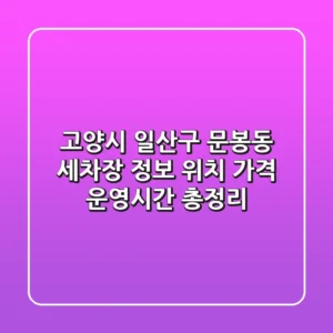 고양시 일산구 문봉동 세차장 정보 - 위치, 가격, 운영시간 총정리
