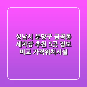 성남시 분당구 금곡동 세차장 추천: 5곳 정보 비교 (가격/위치/시설)