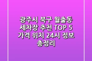 광주시 북구 월출동 세차장 추천 TOP 5 – 가격, 위치, 24시 정보 총정리