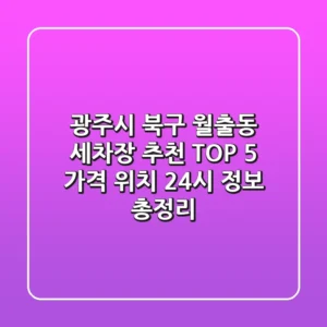 광주시 북구 월출동 세차장 추천 TOP 5 - 가격, 위치, 24시 정보 총정리