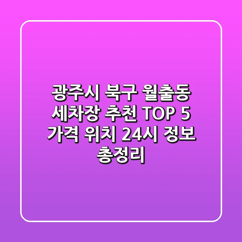 광주시 북구 월출동 세차장 추천 TOP 5 - 가격, 위치, 24시 정보 총정리