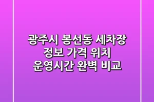 광주시 봉선동 세차장 정보: 가격, 위치, 운영시간 완벽 비교