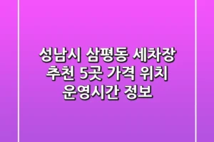 성남시 삼평동 세차장 추천 5곳 – 가격, 위치, 운영시간 정보