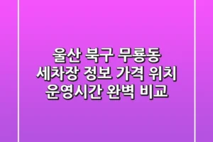 울산 북구 무룡동 세차장 정보: 가격, 위치, 운영시간 완벽 비교