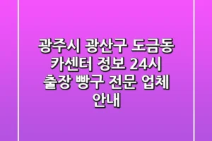 광주시 광산구 도금동 카센터 정보 – 24시 출장 빵구 전문 업체 안내