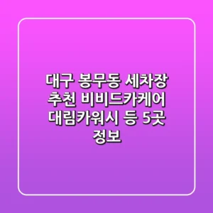 대구 봉무동 세차장 추천 | 비비드카케어, 대림카워시 등 5곳 정보