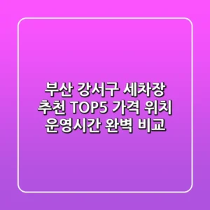 부산 강서구 세차장 추천 TOP5 - 가격, 위치, 운영시간 완벽 비교