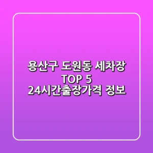 용산구 도원동 세차장 TOP 5 - 24시간/출장/가격 정보