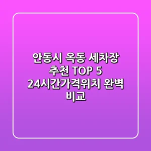 안동시 옥동 세차장 추천 TOP 5 - 24시간/가격/위치 완벽 비교