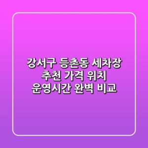 강서구 등촌동 세차장 추천 - 가격, 위치, 운영시간 완벽 비교