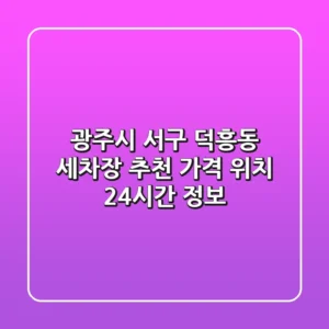 광주시 서구 덕흥동 세차장 추천 - 가격, 위치, 24시간 정보