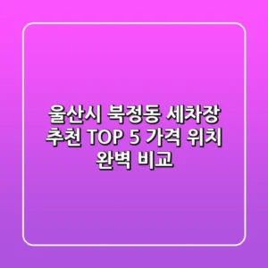 울산시 북정동 세차장 추천 TOP 5 - 가격, 위치 완벽 비교
