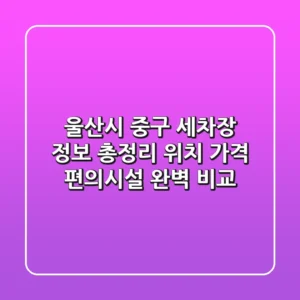 울산시 중구 세차장 정보 총정리 - 위치, 가격, 편의시설 완벽 비교