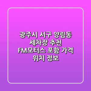 광주시 서구 양림동 세차장 추천: FM모터스 포함 가격, 위치 정보