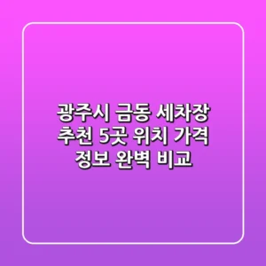 광주시 금동 세차장 추천: 5곳 위치, 가격 정보 완벽 비교