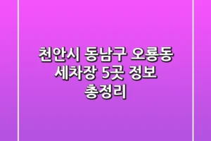 천안시 동남구 오룡동 세차장 5곳 정보 총정리
