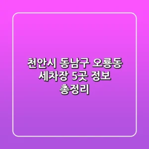 천안시 동남구 오룡동 세차장 5곳 정보 총정리