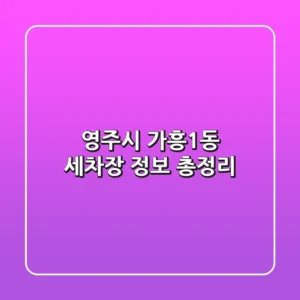 영주시 가흥1동 세차장 정보 총정리