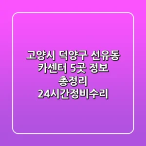 고양시 덕양구 선유동 카센터 5곳 정보 총정리 - 24시간/정비/수리