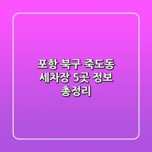 포항 북구 죽도동 세차장 5곳 정보 총정리