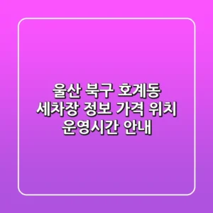 울산 북구 호계동 세차장 정보 - 가격, 위치, 운영시간 안내