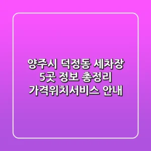 양주시 덕정동 세차장 5곳 정보 총정리 - 가격/위치/서비스 안내