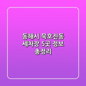 동해시 묵호진동 세차장 5곳 정보 총정리