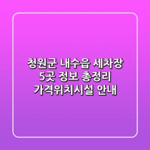 청원군 내수읍 세차장 5곳 정보 총정리 - 가격/위치/시설 안내