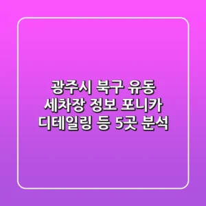 광주시 북구 유동 세차장 정보: 포니카 디테일링 등 5곳 분석