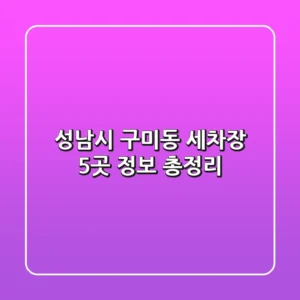 성남시 구미동 세차장 5곳 정보 총정리