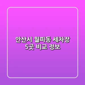 안산시 월피동 세차장 5곳 비교 정보