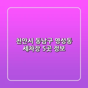 천안시 동남구 영성동 세차장 5곳 정보