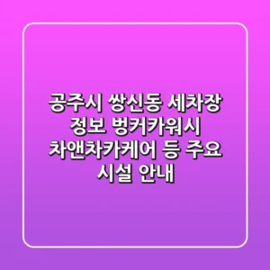 공주시 쌍신동 세차장 정보: 벙커카워시, 차앤차카케어 등 주요 시설 안내