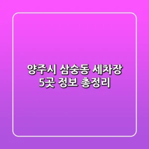양주시 삼숭동 세차장 5곳 정보 총정리