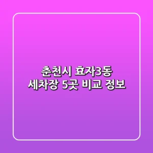 춘천시 효자3동 세차장 5곳 비교 정보