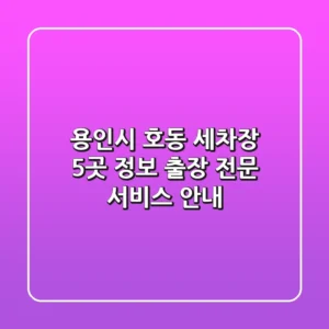 용인시 호동 세차장 5곳 정보 - 출장 전문 서비스 안내